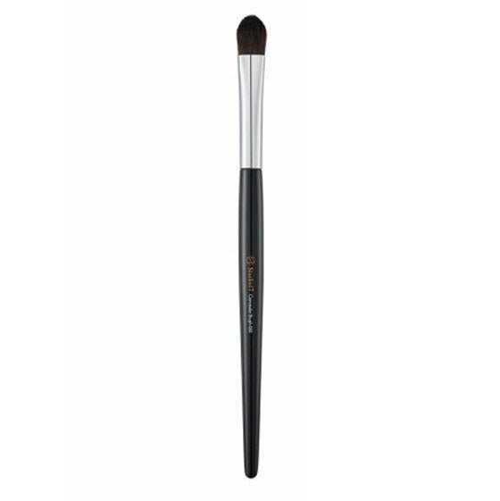 Concealer Brush 484