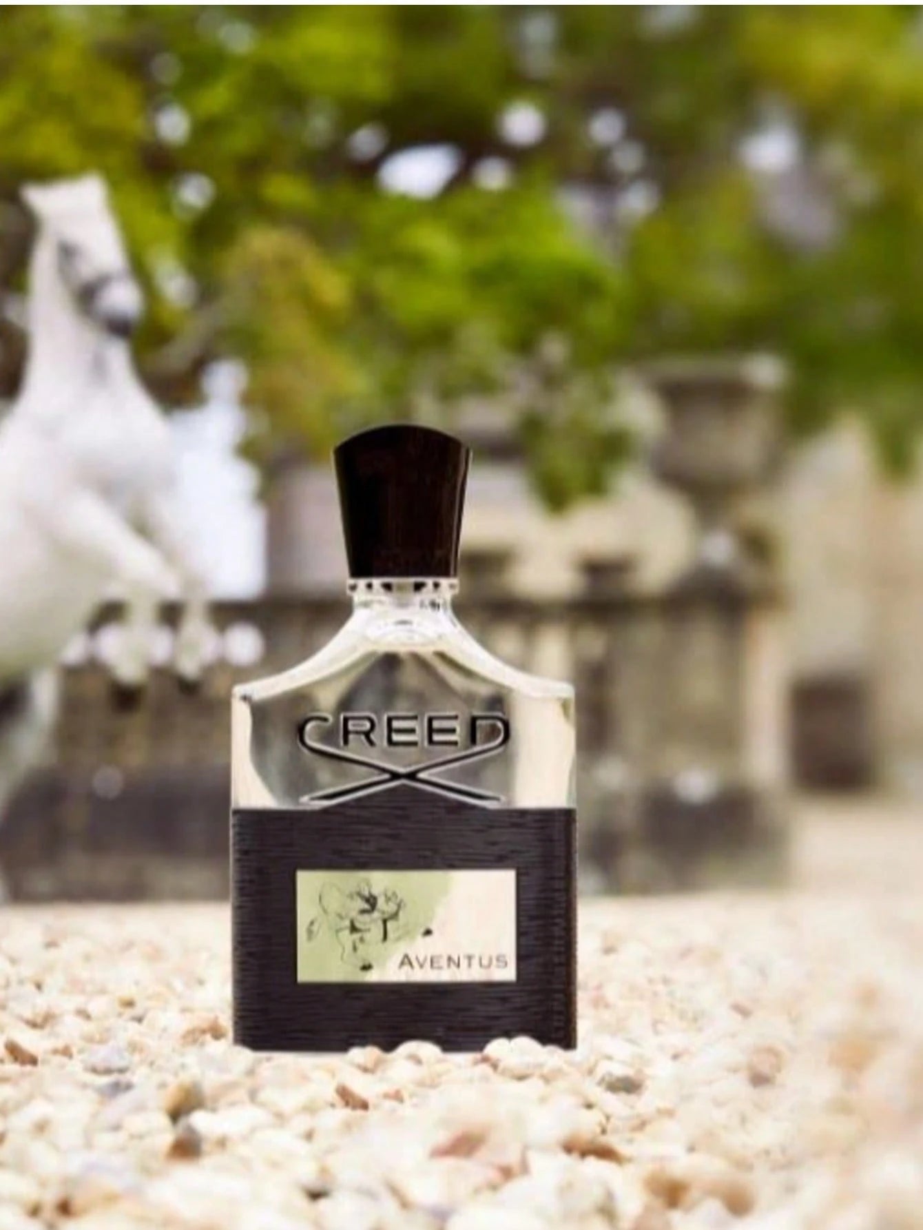 Creed Aventus Luxury Men's Cologne, 100ml (3.4 Oz)- Featuring Dry Woody Notes And Fresh Citrus-Pineapple Fruitiness, With Long-Lasting Fragrance