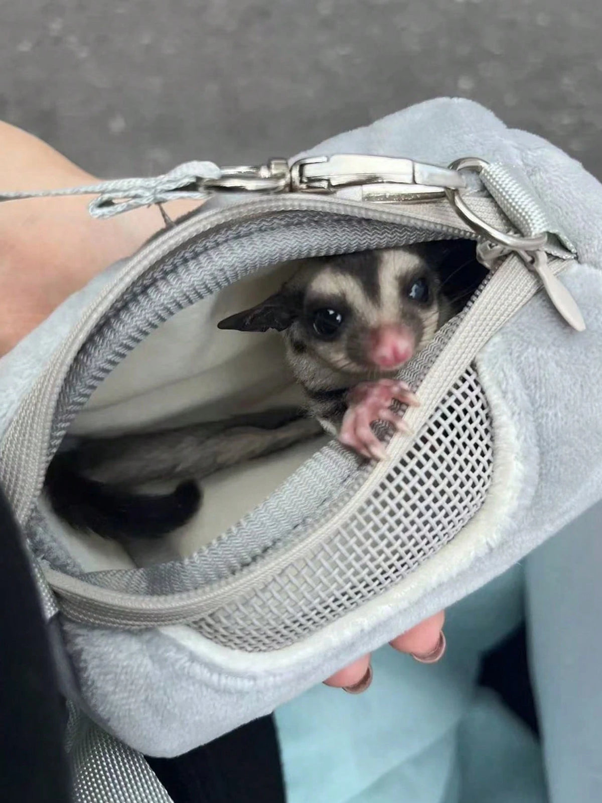 1pc Hamster Outdoor Sling Bag, Portable Hamster Carrying Bag, Warm Pet Carrier