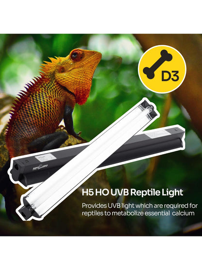 1PC T5 HO UVB Lighting Combo Kit, Terrarium Hood Comes With Desert 10.0 UVB T5 Lamp (39W)