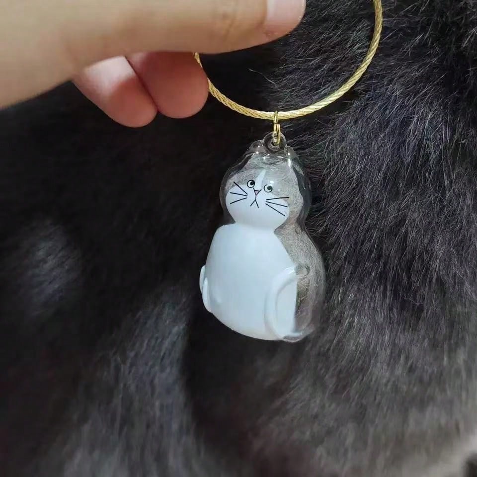 1pc Transparent Pet Hair Storage Box, Cute Animal Hair Capsule Hanging Decor, Dust-Proof Memorabilia Gift Box. (Note: Colors And Styles May Vary Slightly By Batch, But All Are Very Beautiful)