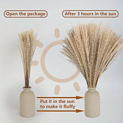 610pcs Dried Pampas Grass Decor, Dried Flower Bouquets For Wedding, Home, Centerpiece Table, Modern Home, Western Living Room, Nurserie, Nursery, Boho Room, Beach, Women Office, And Boho Decor