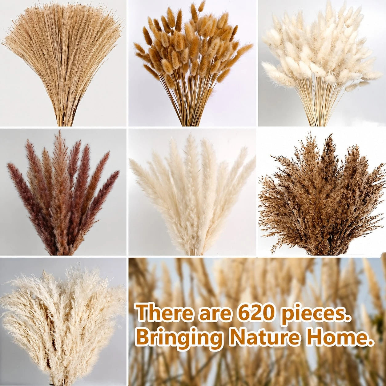 620 PCS Dried Pampas Grass Decor, Dried Flower Bouquets For Wedding, Home, Centerpiece Table, Modern Home, Western Living Room, Nurserie, Nursery, Boho Room, Beach, Women Office, And Boho Decor