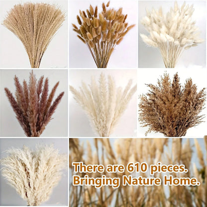 620 PCS Dried Pampas Grass Decor, Dried Flower Bouquets For Wedding, Home, Centerpiece Table, Modern Home, Western Living Room, Nurserie, Nursery, Boho Room, Beach, Women Office, And Boho Decor