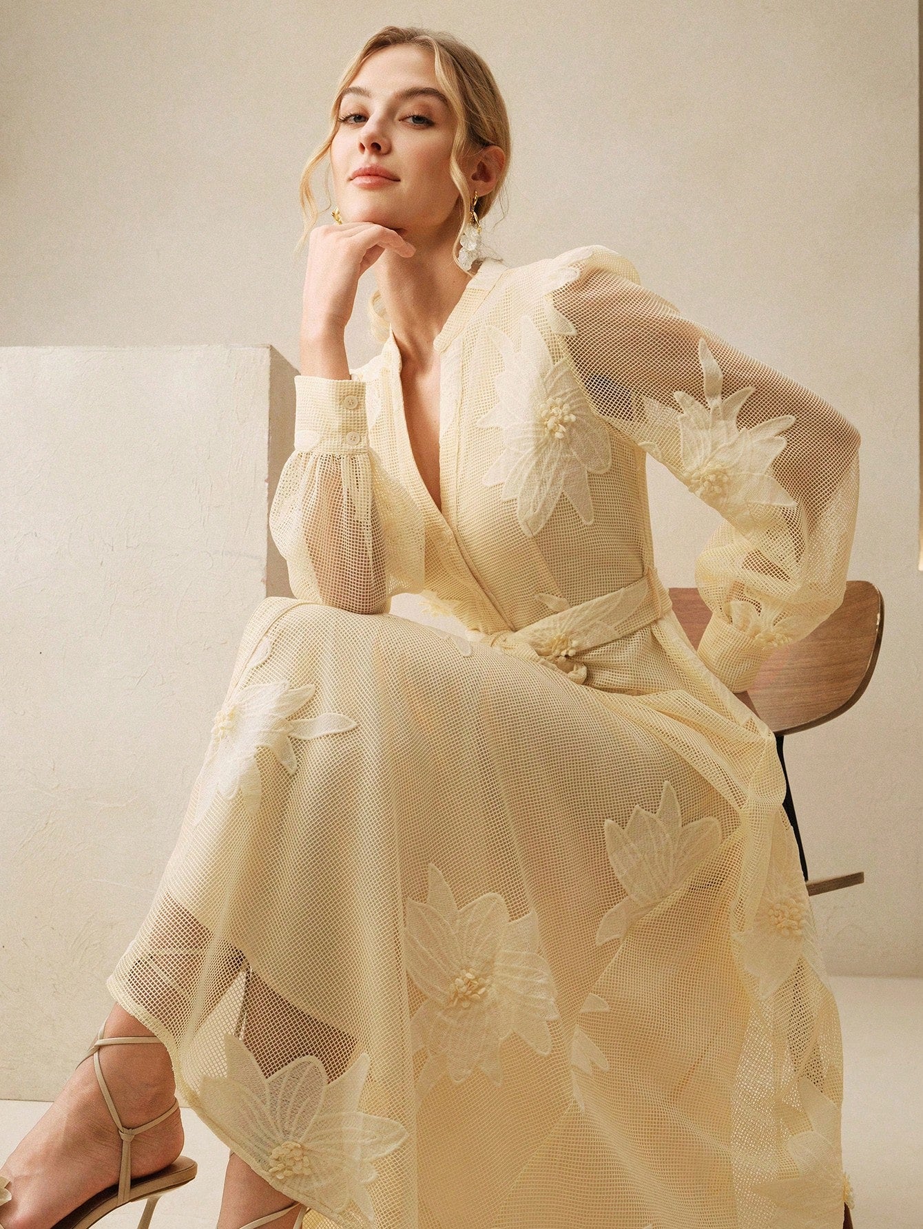 Anewsta Elegant Floral Embroidery Sheer Puff Sleeve Tie Waist Women Dress