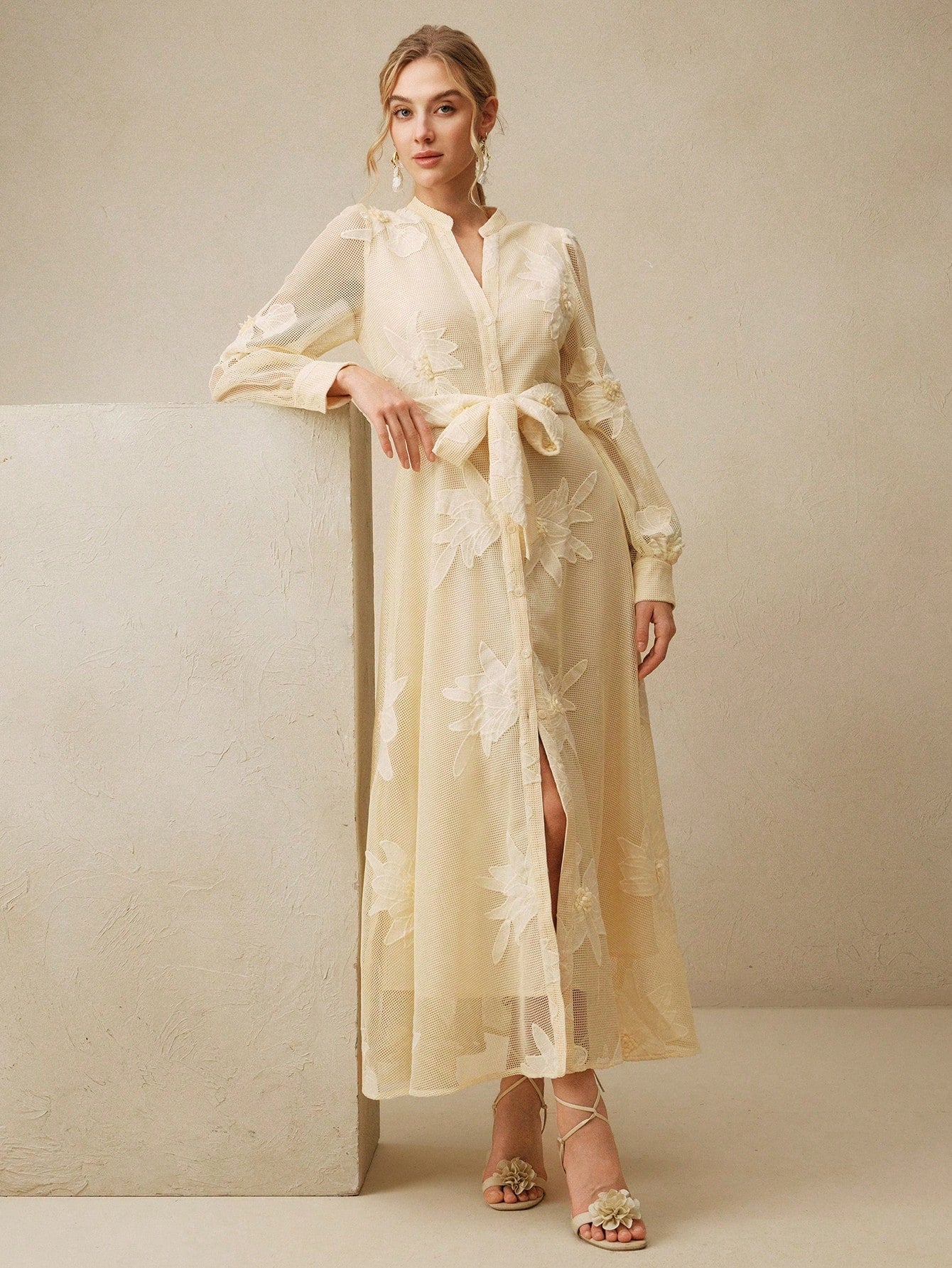 Anewsta Elegant Floral Embroidery Sheer Puff Sleeve Tie Waist Women Dress