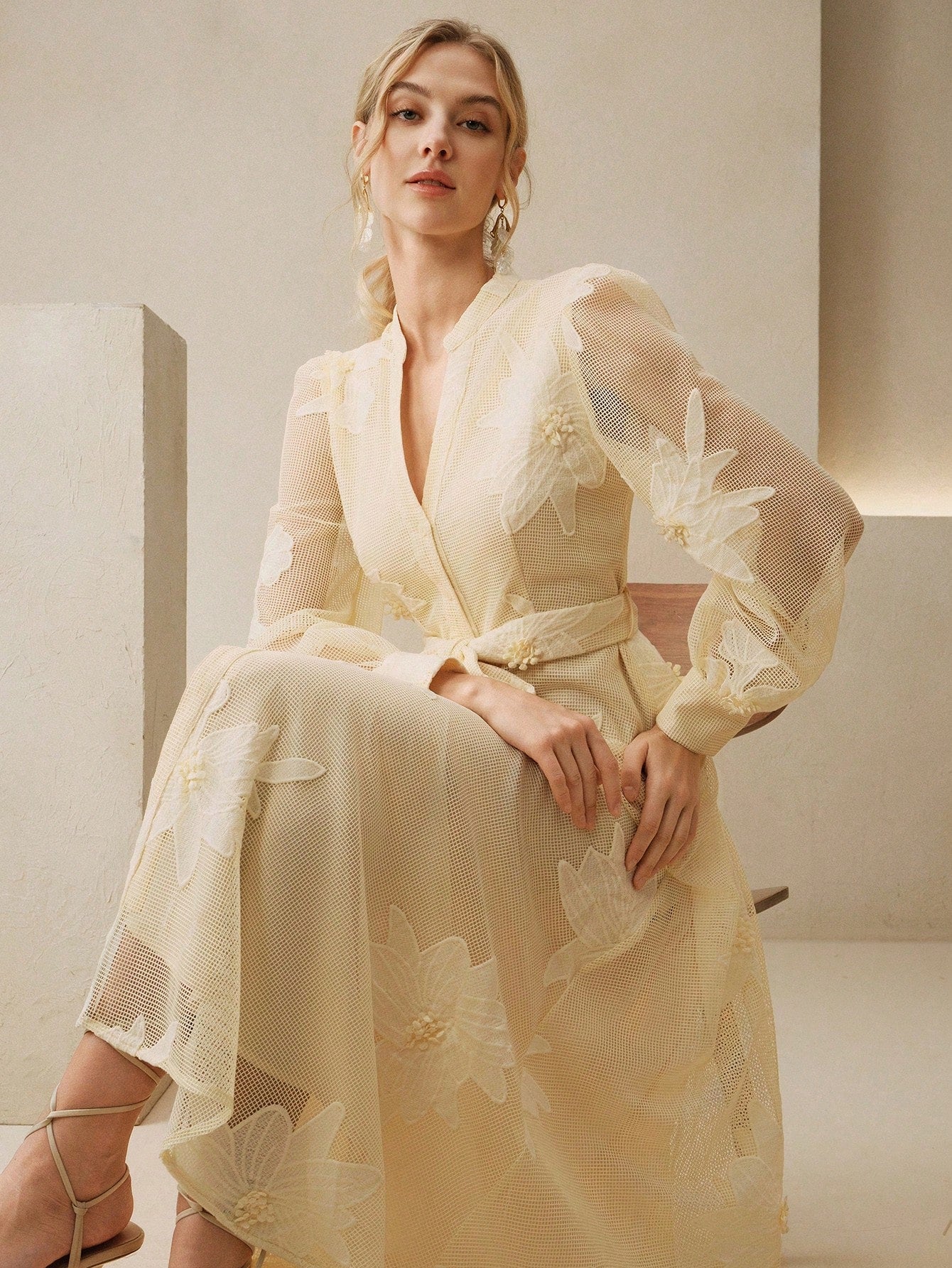 Anewsta Elegant Floral Embroidery Sheer Puff Sleeve Tie Waist Women Dress