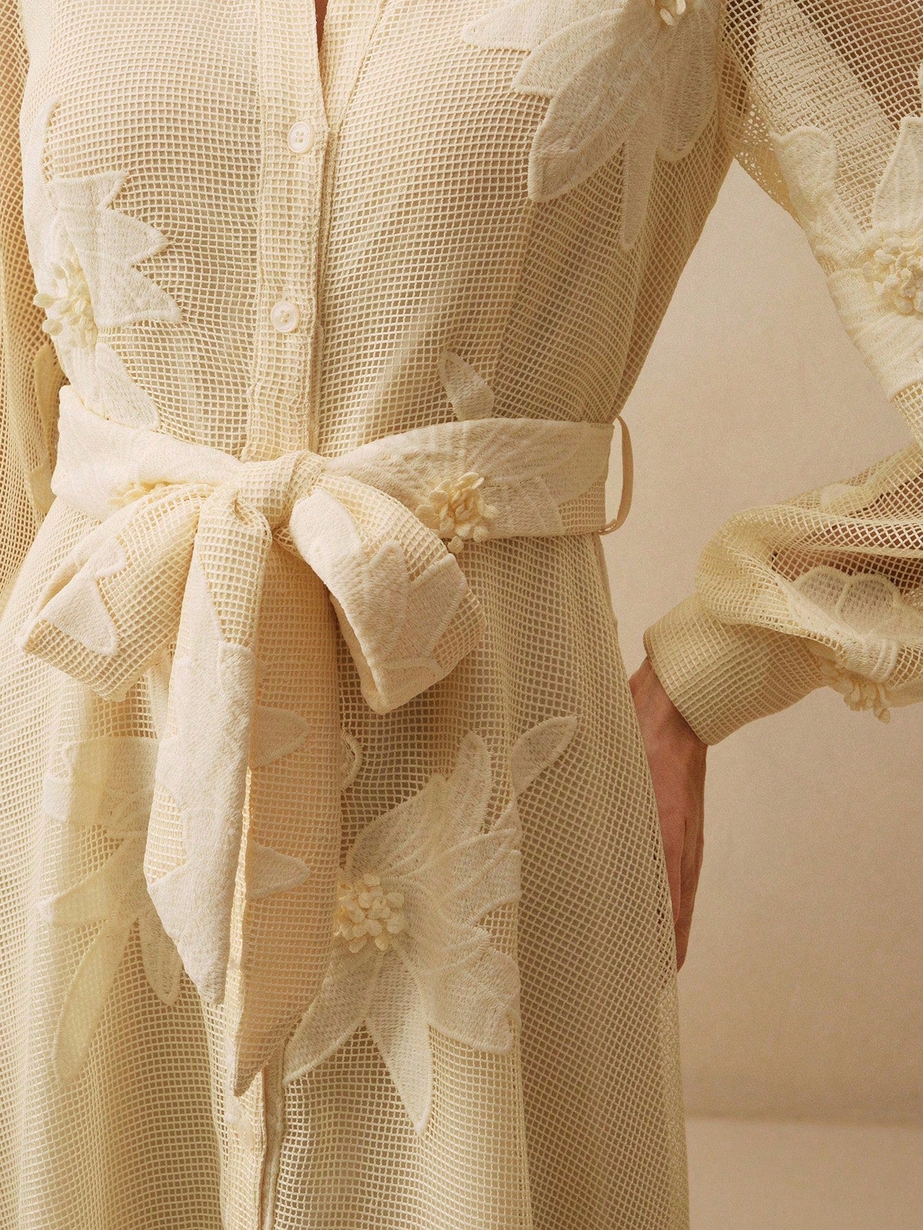 Anewsta Elegant Floral Embroidery Sheer Puff Sleeve Tie Waist Women Dress