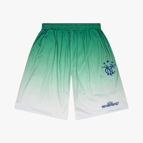 Awake NY Gradient Shorts / Green