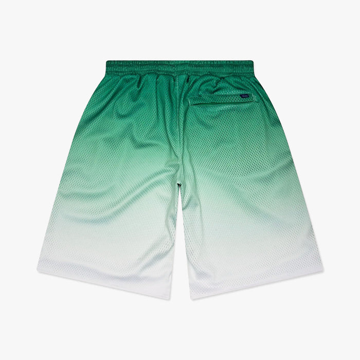 Awake NY Gradient Shorts / Green