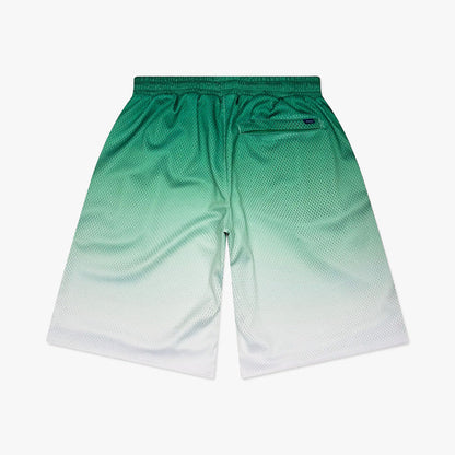 Awake NY Gradient Shorts / Green