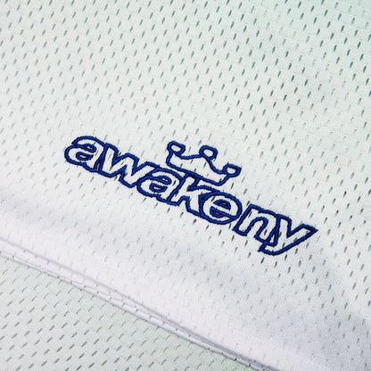 Awake NY Gradient Shorts / Green