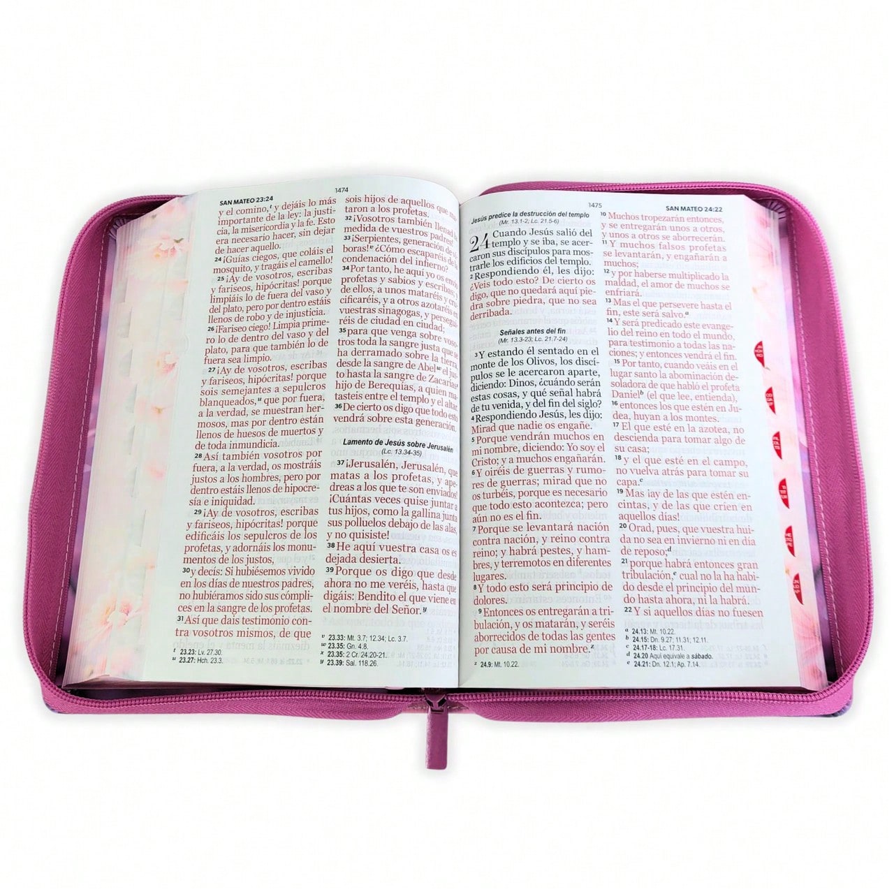 Biblia Con Cierre Para Mujer Letra Gigante Manual 14 Puntos RV1960, Imit Piel Duotono Blanco Y Rosa Margaritas Con Indice Y Canto Floral