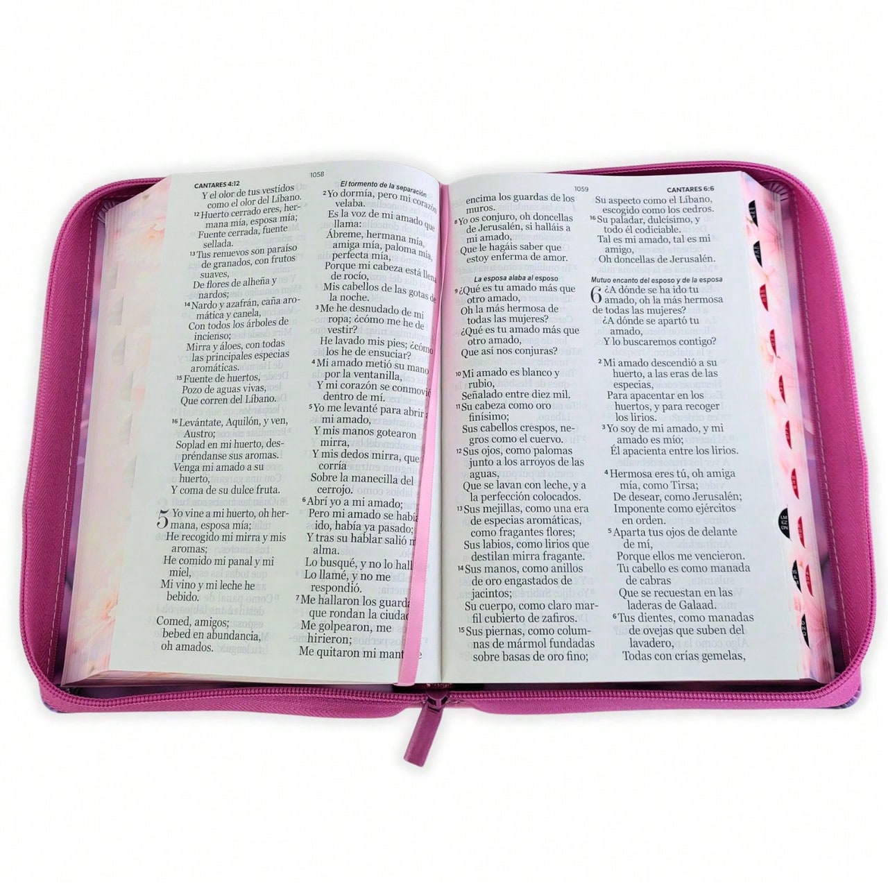 Biblia Con Cierre Para Mujer Letra Gigante Manual 14 Puntos RV1960, Imit Piel Duotono Blanco Y Rosa Margaritas Con Indice Y Canto Floral