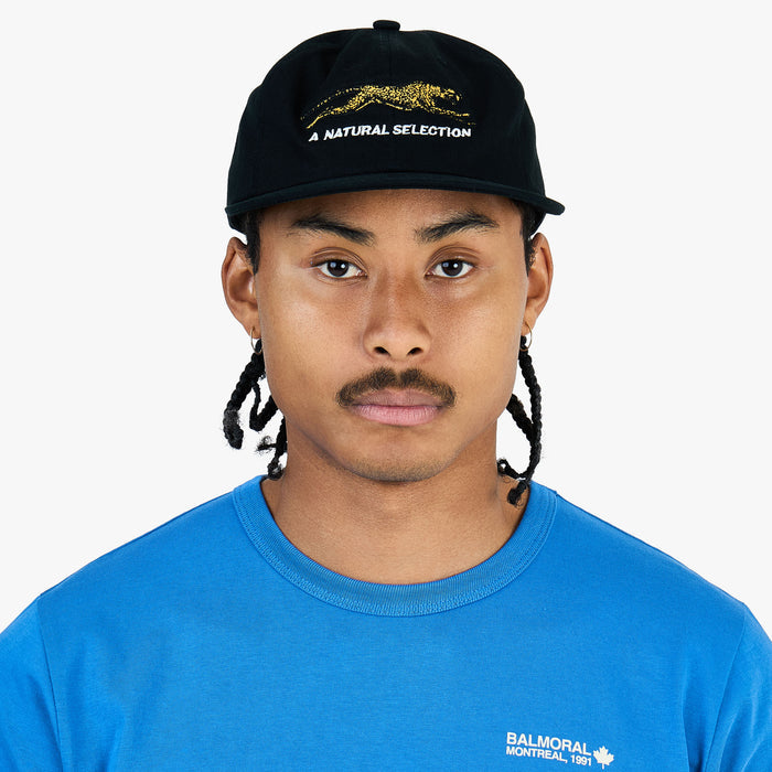 Brother Brother Natural Technicolor Selection Cap / Black