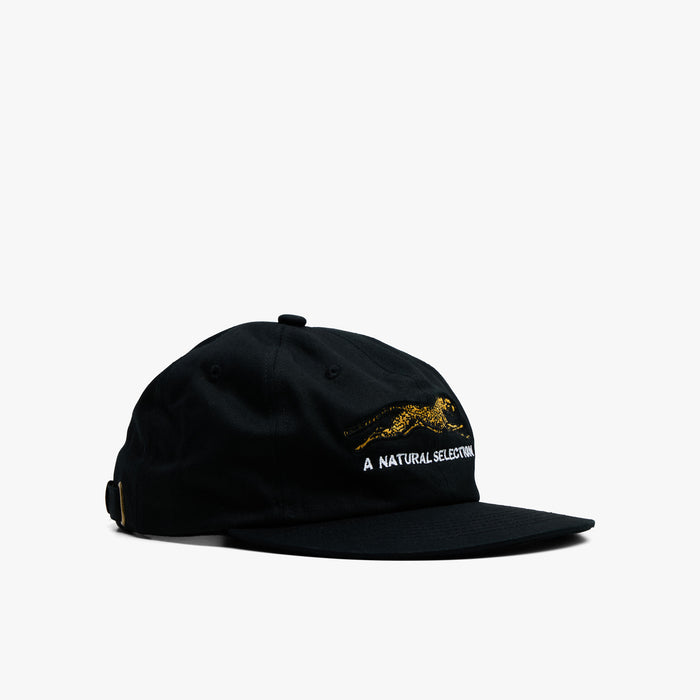 Brother Brother Natural Technicolor Selection Cap / Black