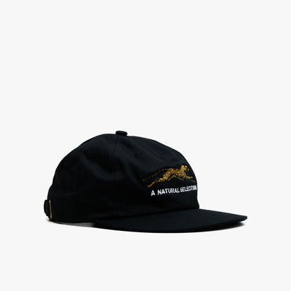 Brother Brother Natural Technicolor Selection Cap / Black