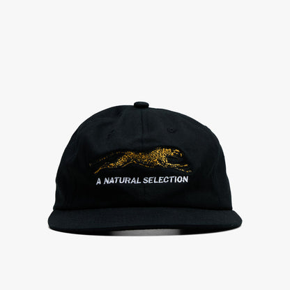 Brother Brother Natural Technicolor Selection Cap / Black