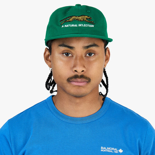 Brother Brother Natural Technicolor Selection Cap / Pine Green