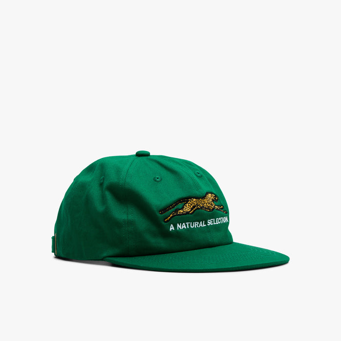 Brother Brother Natural Technicolor Selection Cap / Pine Green