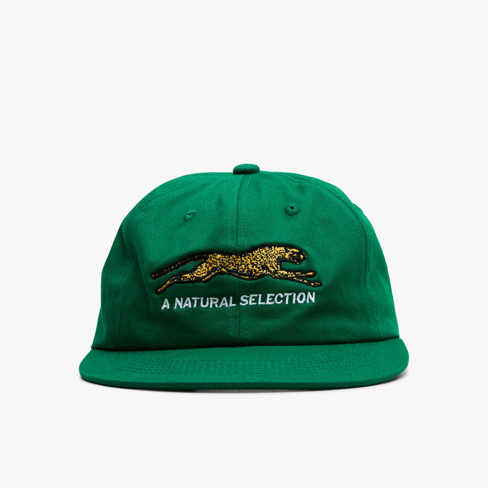 Brother Brother Natural Technicolor Selection Cap / Pine Green