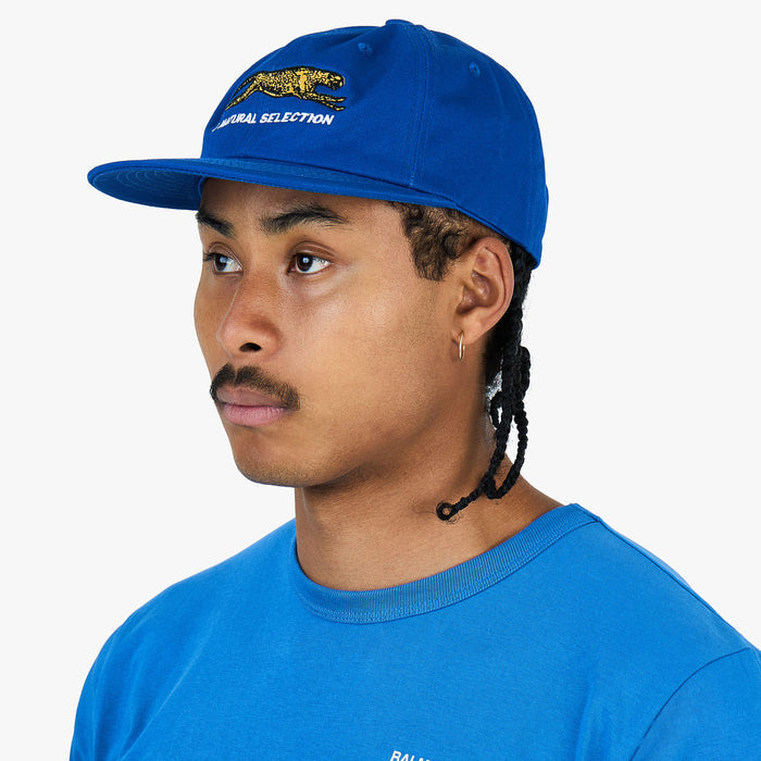 Brother Brother Natural Technicolor Selection Cap / Royal