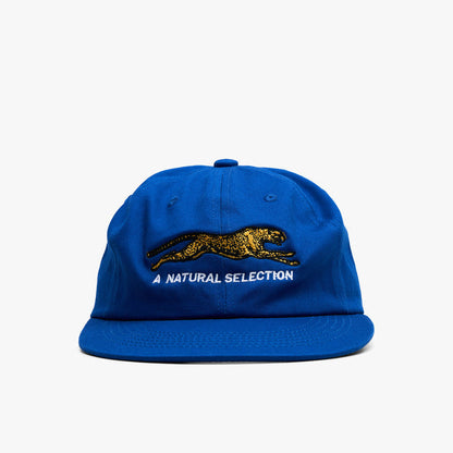 Brother Brother Natural Technicolor Selection Cap / Royal