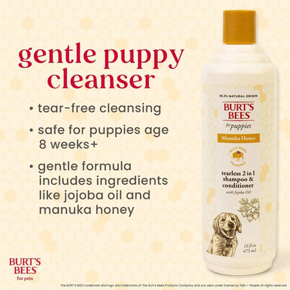 Burt'S Bees For Pets Manuka Honey Tearless 2-In-1 Dog Shampoo And Conditioner, With Jojoba Oil, 95% Natural Origin, Free Of Sulfates, Milk And Honey Scent, 16 Fl Oz