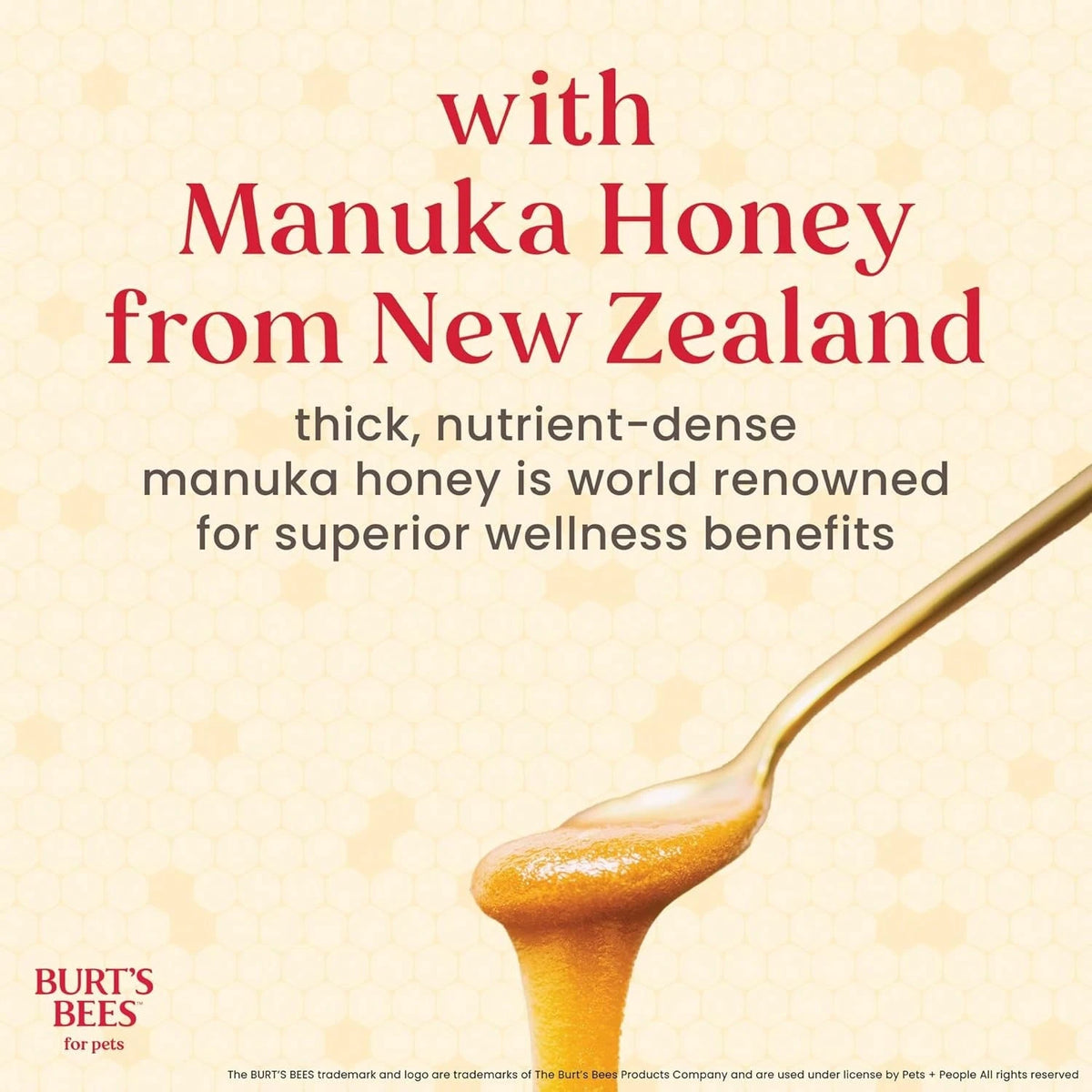 Burt'S Bees For Pets Manuka Honey Tearless 2-In-1 Dog Shampoo And Conditioner, With Jojoba Oil, 95% Natural Origin, Free Of Sulfates, Milk And Honey Scent, 16 Fl Oz