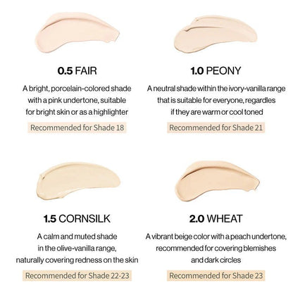 Bye Bye My Blemish Concealer 2g