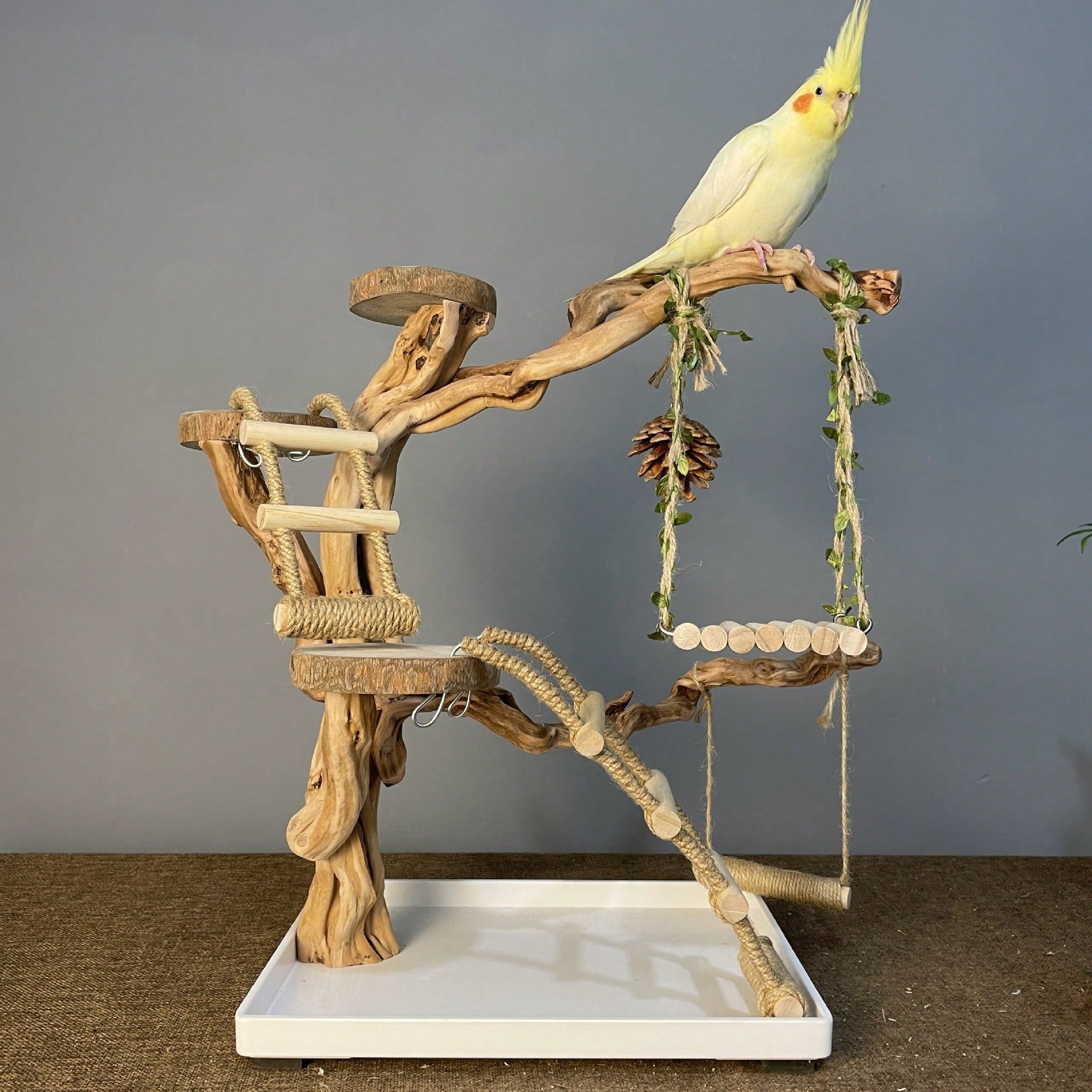 Cute Hanging Vine Swing Parrot Toy Fun Training Chewing Rest Accessory For Small Pet Birds