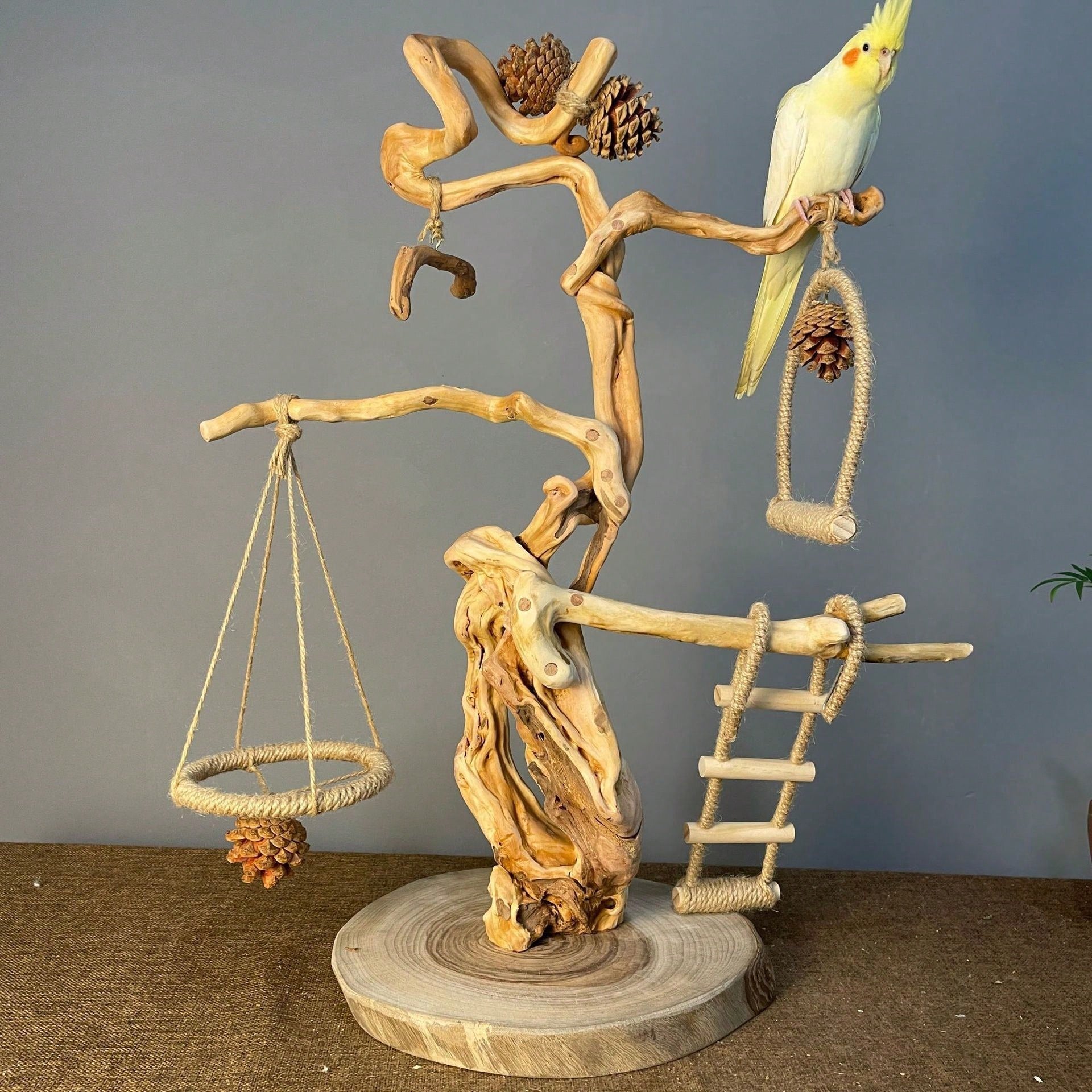 Cute Hanging Vine Swing Parrot Toy Fun Training Chewing Rest Accessory For Small Pet Birds