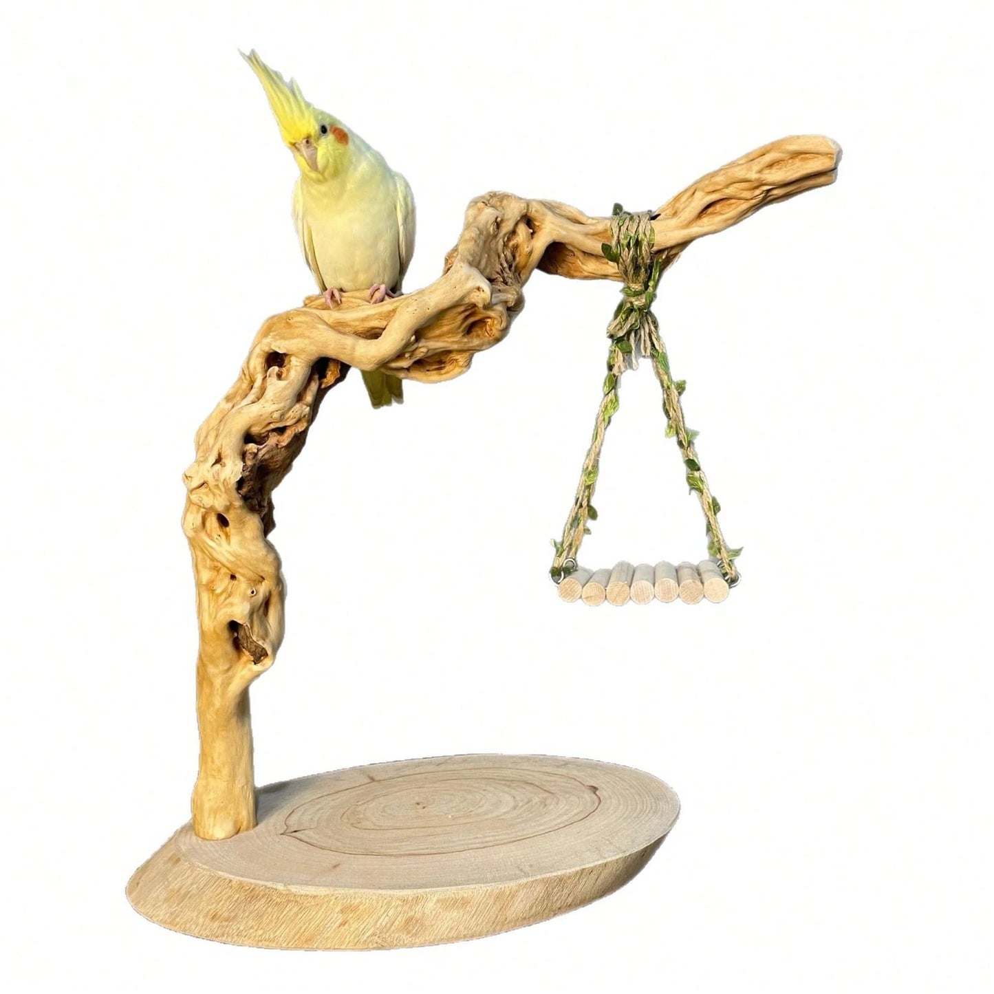 Cute Hanging Vine Swing Parrot Toy Fun Training Chewing Rest Accessory For Small Pet Birds