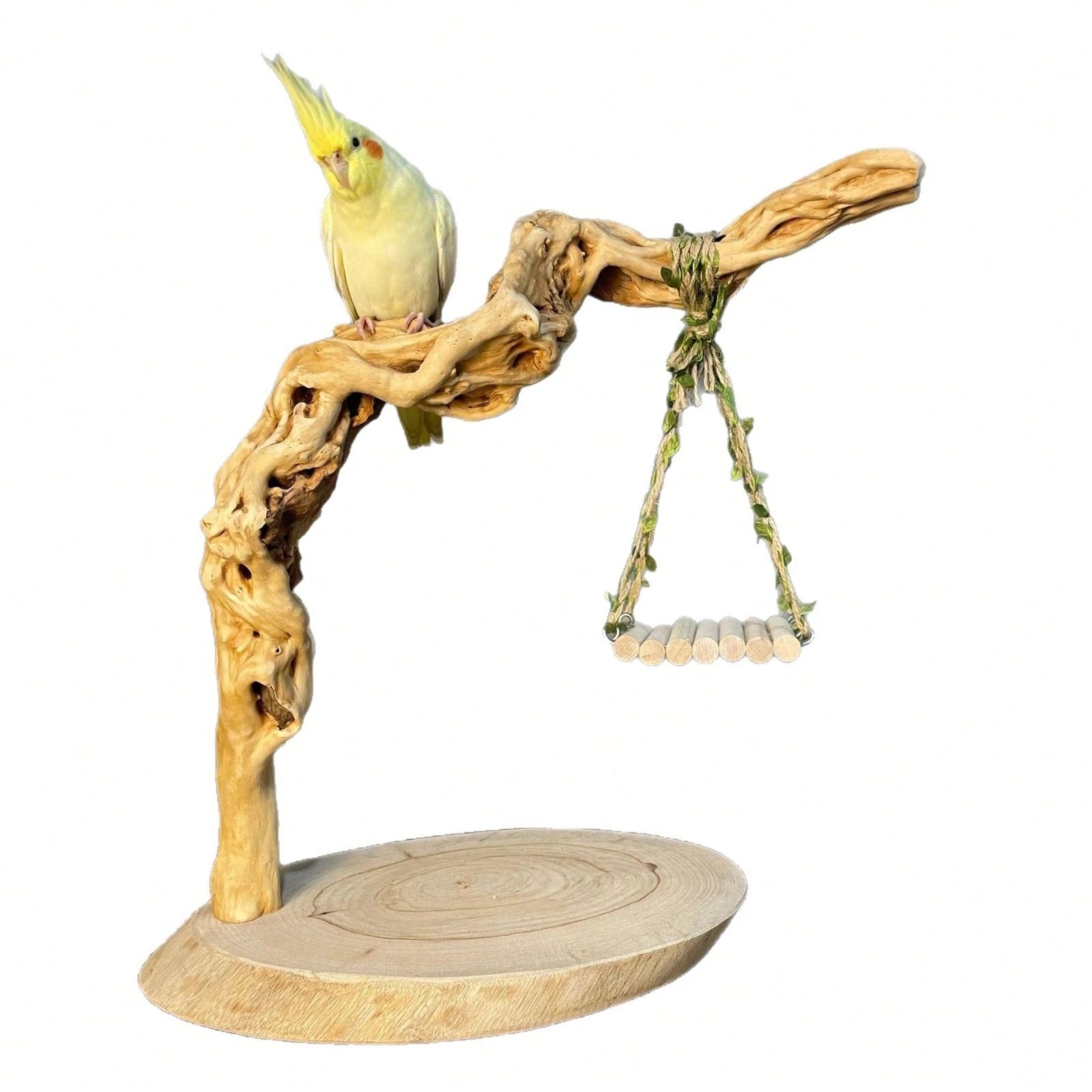 Cute Hanging Vine Swing Parrot Toy Fun Training Chewing Rest Accessory For Small Pet Birds