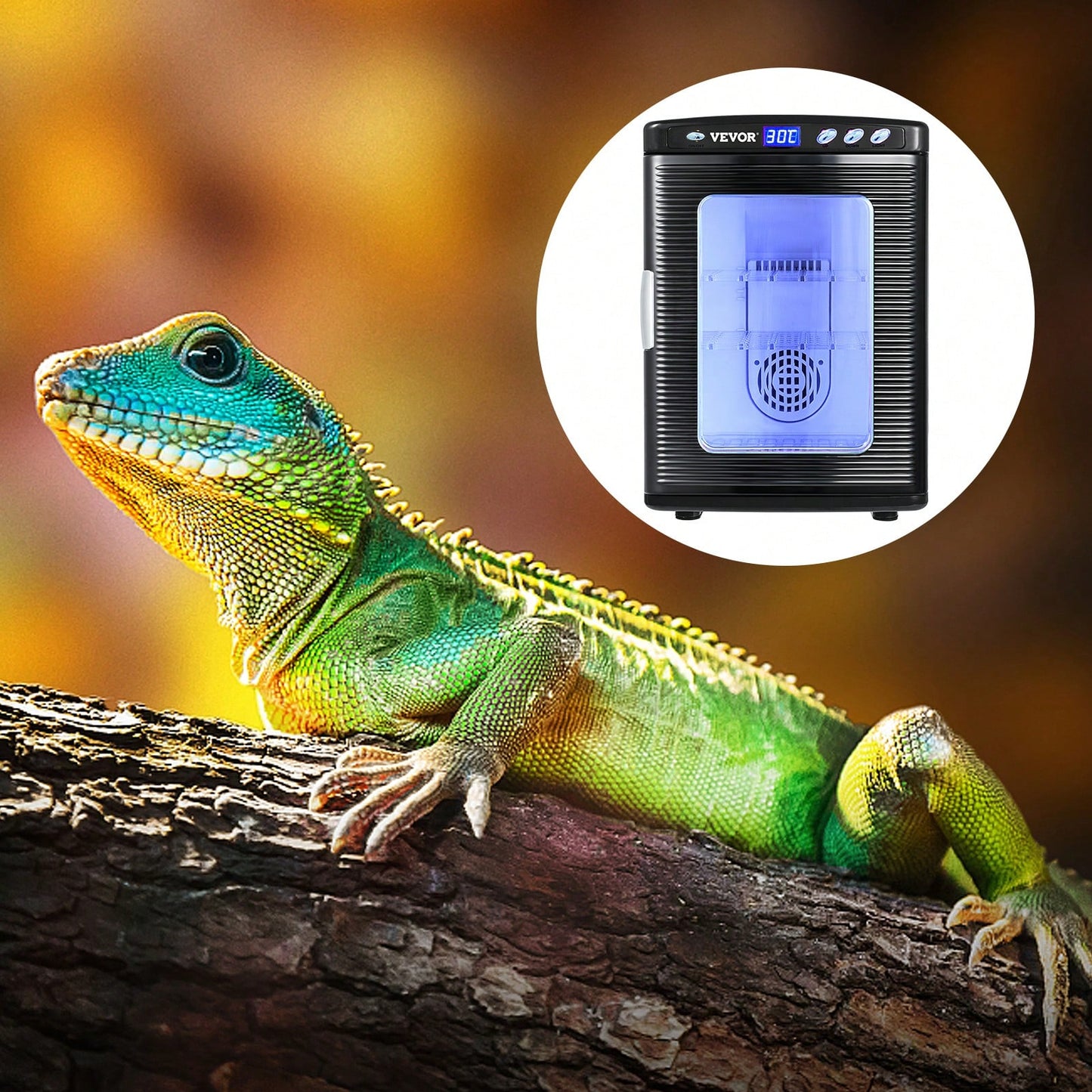 Egg Incubator And Hatcher 25L Black Reptile Egg Incubator 5-42°C Scientific Hatcher Heating Bright LED Digital Display For Small Animals