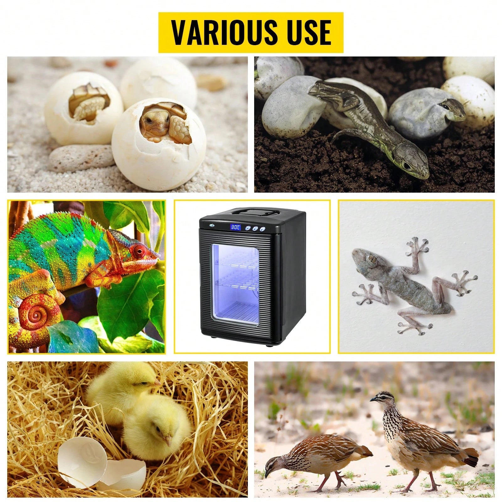 Egg Incubator And Hatcher 25L Black Reptile Egg Incubator 5-42°C Scientific Hatcher Heating Bright LED Digital Display For Small Animals