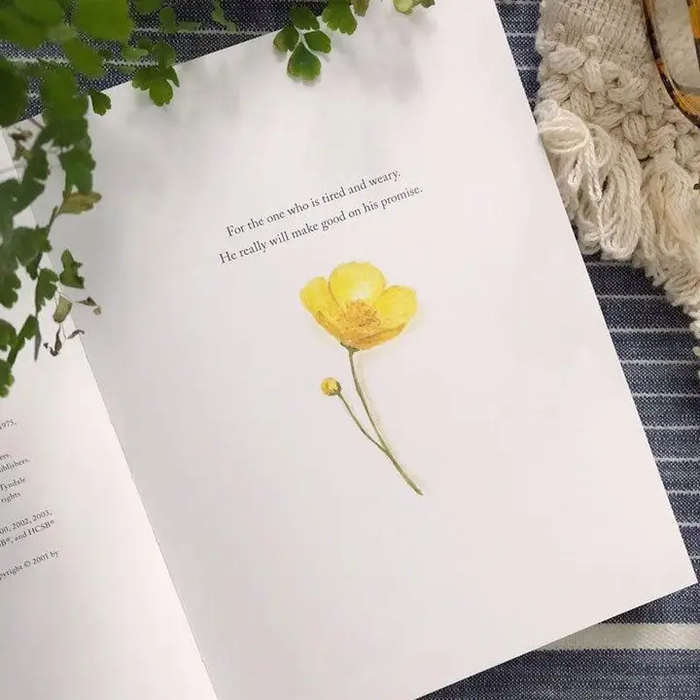 Emily Lex Freely & Lightly Book