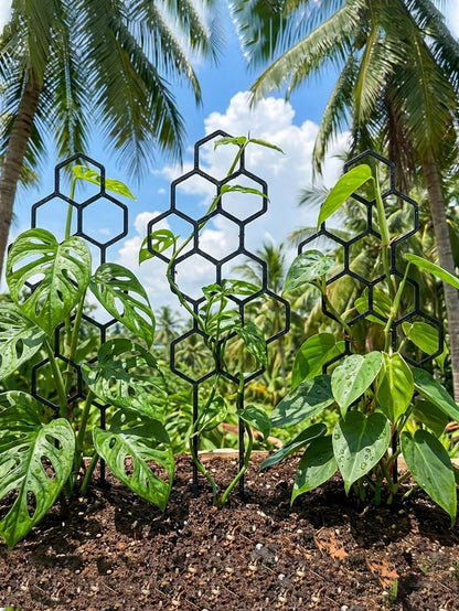 Honeycomb Shaped Plant Climbing Trellis, Outdoor Potted Plant Support, Rust-Resistant Plastic Rack Suitable For Potted Vines And Flowers, Space-Saving Support For Indoor And Outdoor Gardens