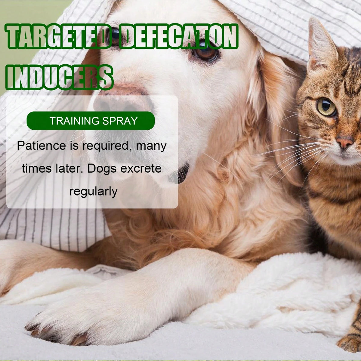 Instant Spot Guidance Pet Potty Training Spray,Helps Puppies And Kittens Recognize The Right Indoor Spot Faster,Clean, Quick, Non-Messy Daily Home Routine For Dogs And Cats