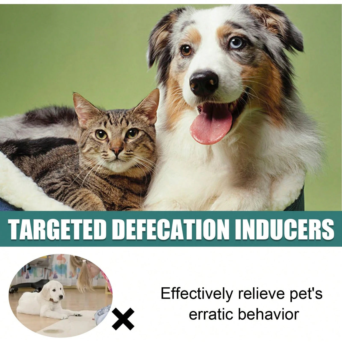 Instant Spot Guidance Pet Potty Training Spray,Helps Puppies And Kittens Recognize The Right Indoor Spot Faster,Clean, Quick, Non-Messy Daily Home Routine For Dogs And Cats