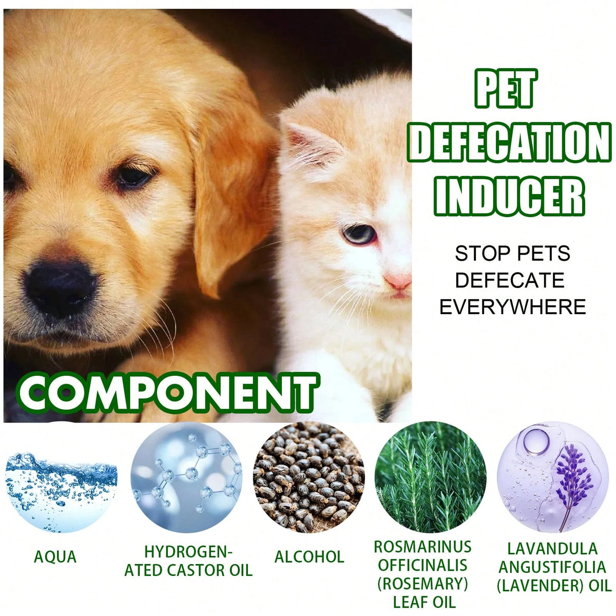 Instant Spot Guidance Pet Potty Training Spray,Helps Puppies And Kittens Recognize The Right Indoor Spot Faster,Clean, Quick, Non-Messy Daily Home Routine For Dogs And Cats
