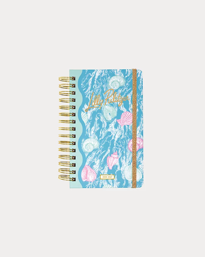 Large 17 Month Agenda, Fantastical for Home
