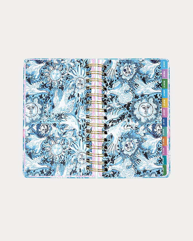 Large 17 Month Agenda, Fantastical for Home