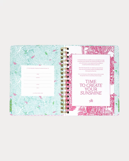 Large 17 Month Agenda, Fantastical for Home