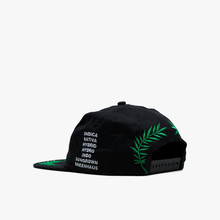 Mister Green Worldwide Cap / Black