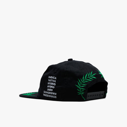 Mister Green Worldwide Cap / Black