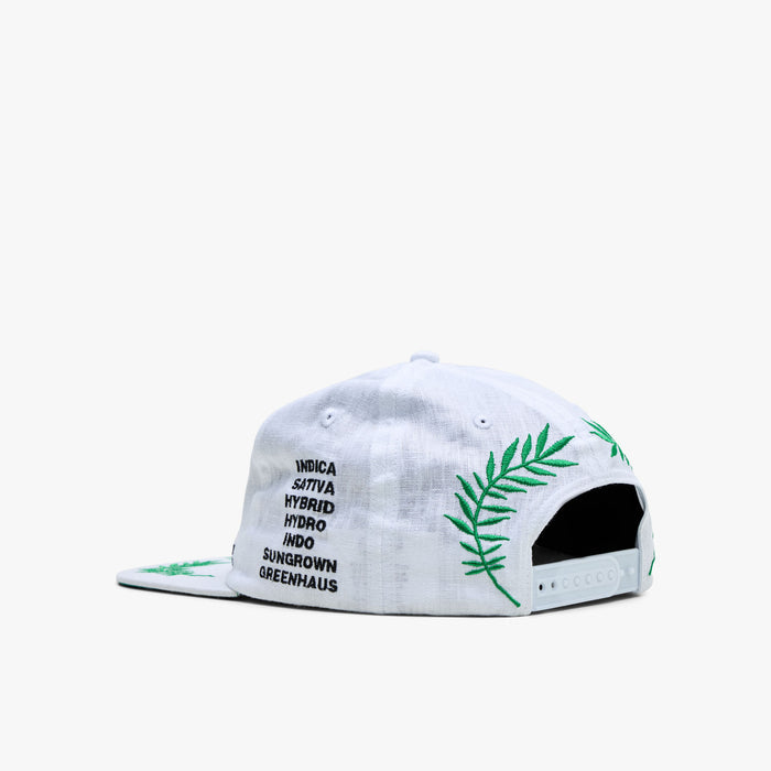 Mister Green Worldwide Cap / White