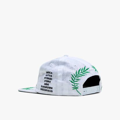 Mister Green Worldwide Cap / White