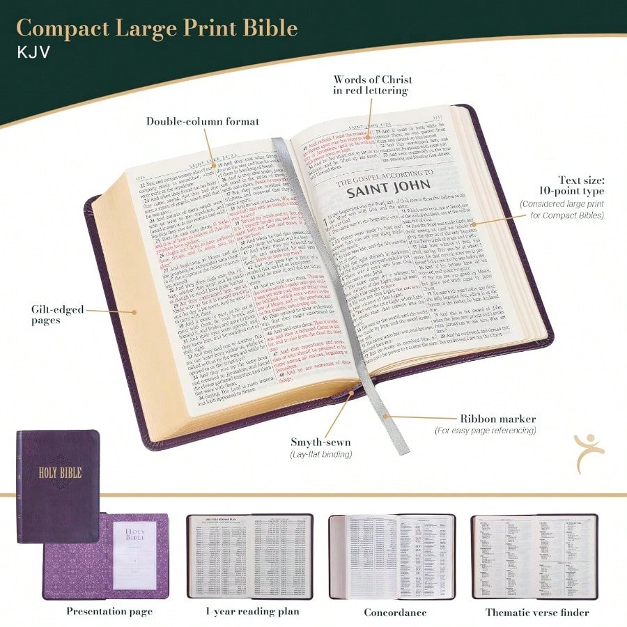 Pre-Owned 365 Bible Affirmations For Women: Daily Devotions For Morning And Evening (Paperback) By Compiled By Barbour Staff