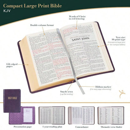 Pre-Owned 365 Bible Affirmations For Women: Daily Devotions For Morning And Evening (Paperback) By Compiled By Barbour Staff